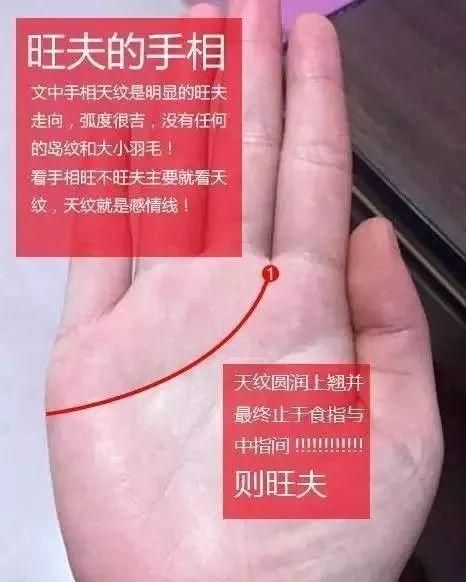 手相怎么看&手相怎么看什么时候结婚