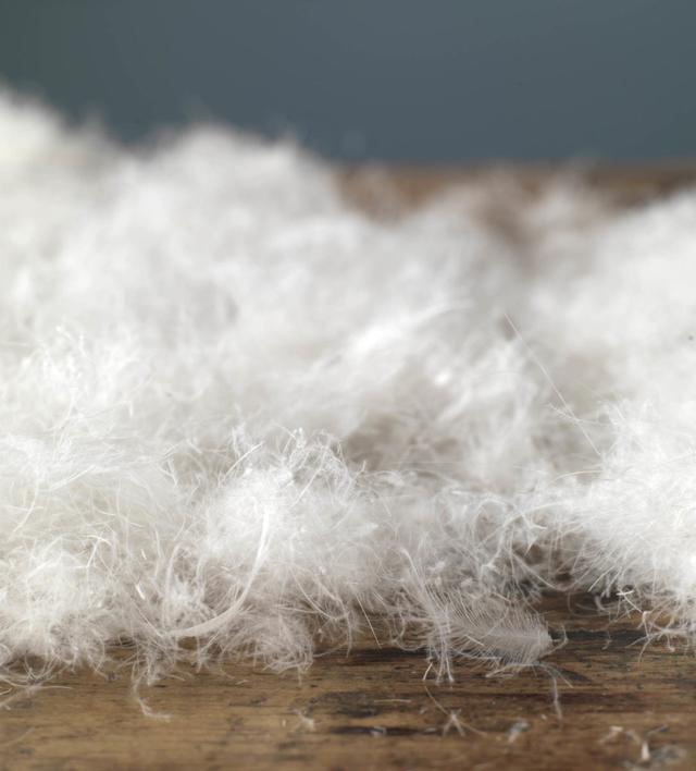 买鸭绒还是鹅绒?挑选羽绒服外套只需注意这四大细节,准是暖暖的