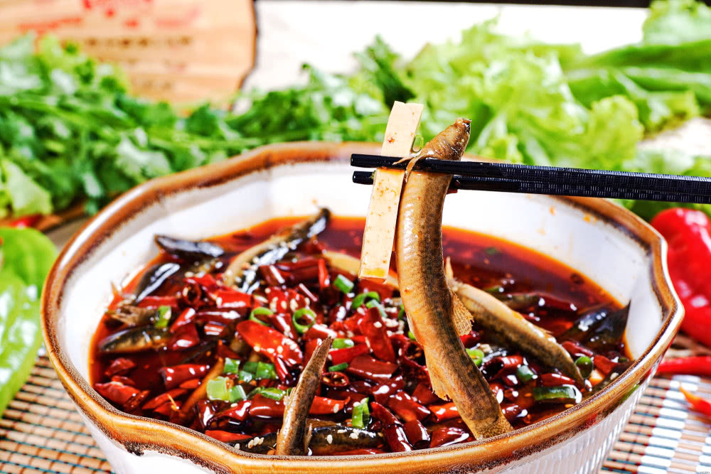 儿时用锄头挖了喂猫,如今想吃靠养殖,高价出口日韩成高价快消品|泥鳅