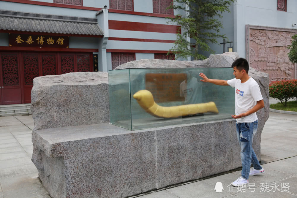 在石泉,程岩亮参与了不少鎏金铜蚕雕塑的设计制作,他成了石泉鎏金铜蚕