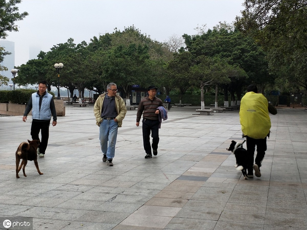 一个人,一条狗,一个背包,一双脚,独行男子步行600公里回家