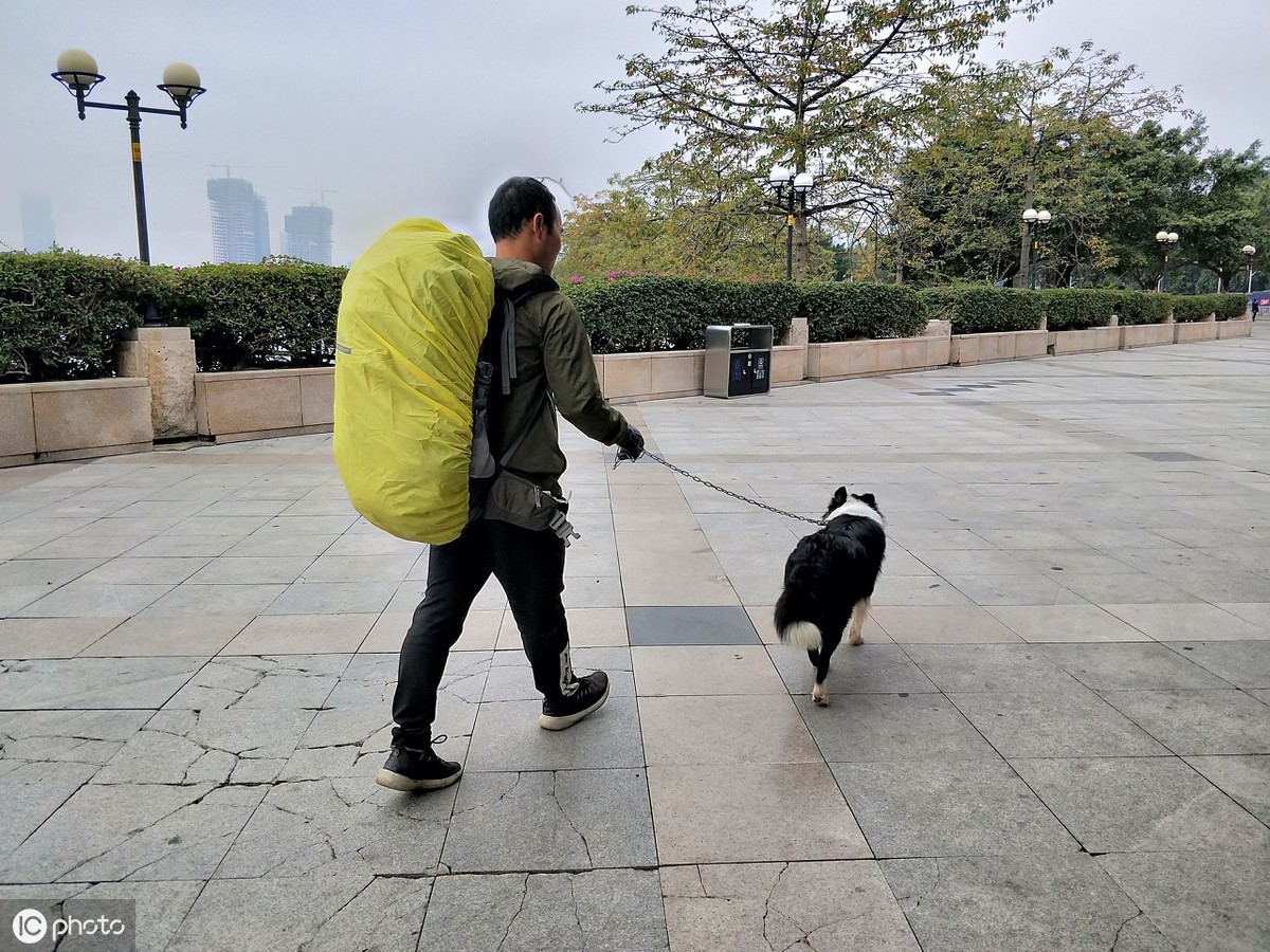 一个人,一条狗,一个背包,一双脚,独行男子步行600公里回家