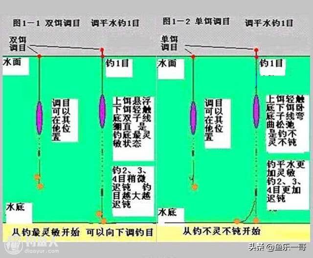 调钓心得分享都是掏心窝子的实在话