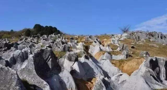 镇安北羊山:深藏的喀斯特石芽群,令人惊艳|羊山|喀斯特|阳山_新浪新闻