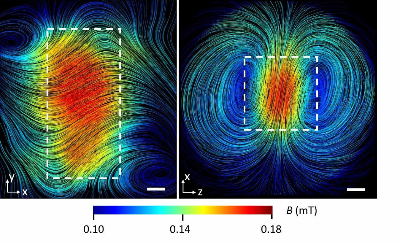 偏振中子光栅干涉法可用于测量非常强的磁场,其梯度强度约为每厘米1