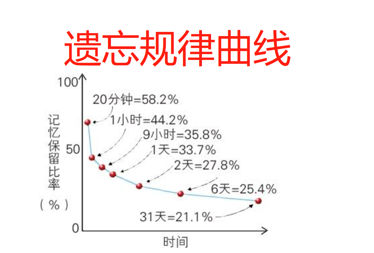 数学教师根据遗忘规律曲线提高小学生记忆力的策略与方法|遗忘规律|数学|小学生_新浪新闻