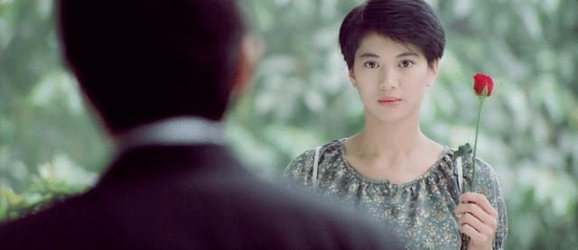 尔冬升|袁咏仪|张智霖_新浪新闻