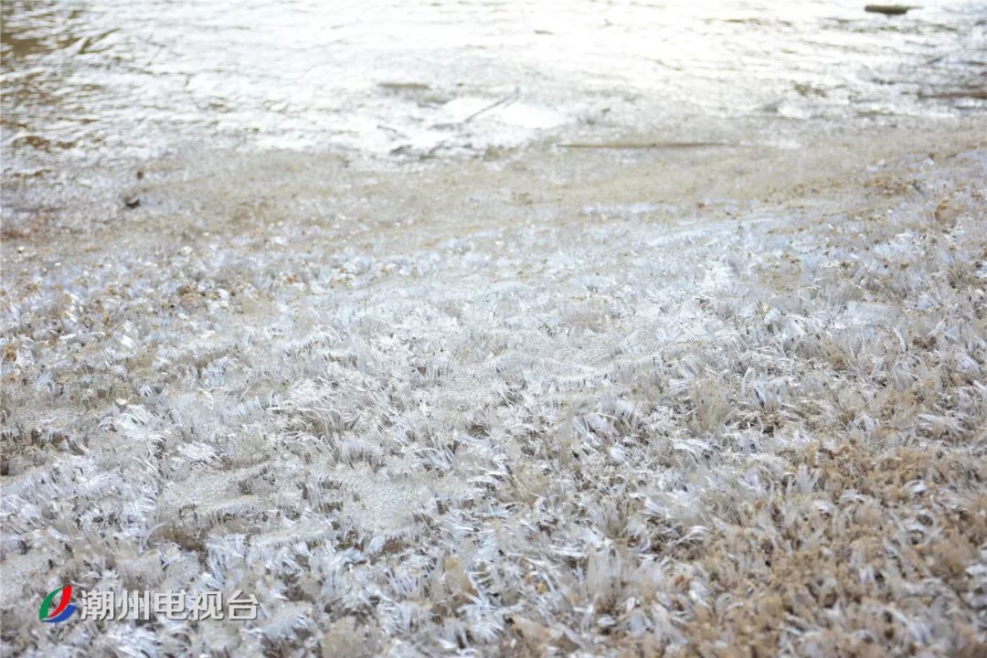 潮州凤凰山出现结冰,今年冬天首次出现结冰|结冰|潮州|天池景区_新浪新闻