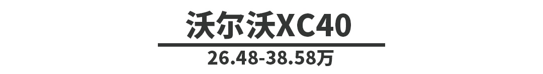 想开豪华SUV回家过年就看它们，只要20多万，养起来也不难！