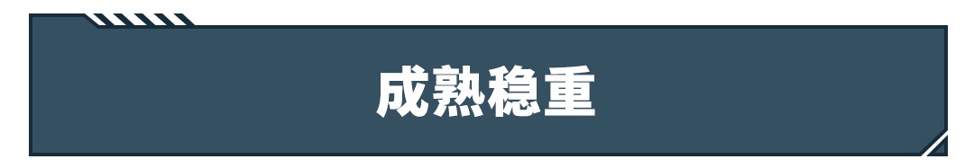 4款20来万中型SUV，啥风格都有，不信没你要的！