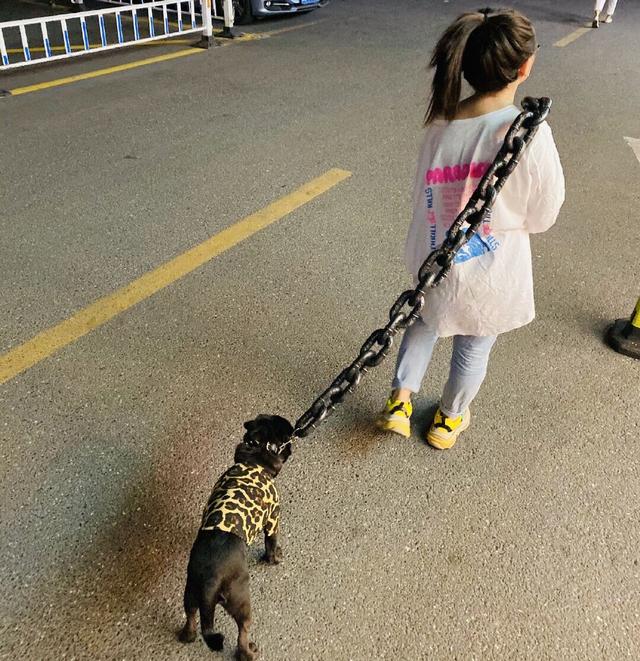 女子看狗狗脖子上戴着铁链,以为有人在虐狗,了解后却笑出声