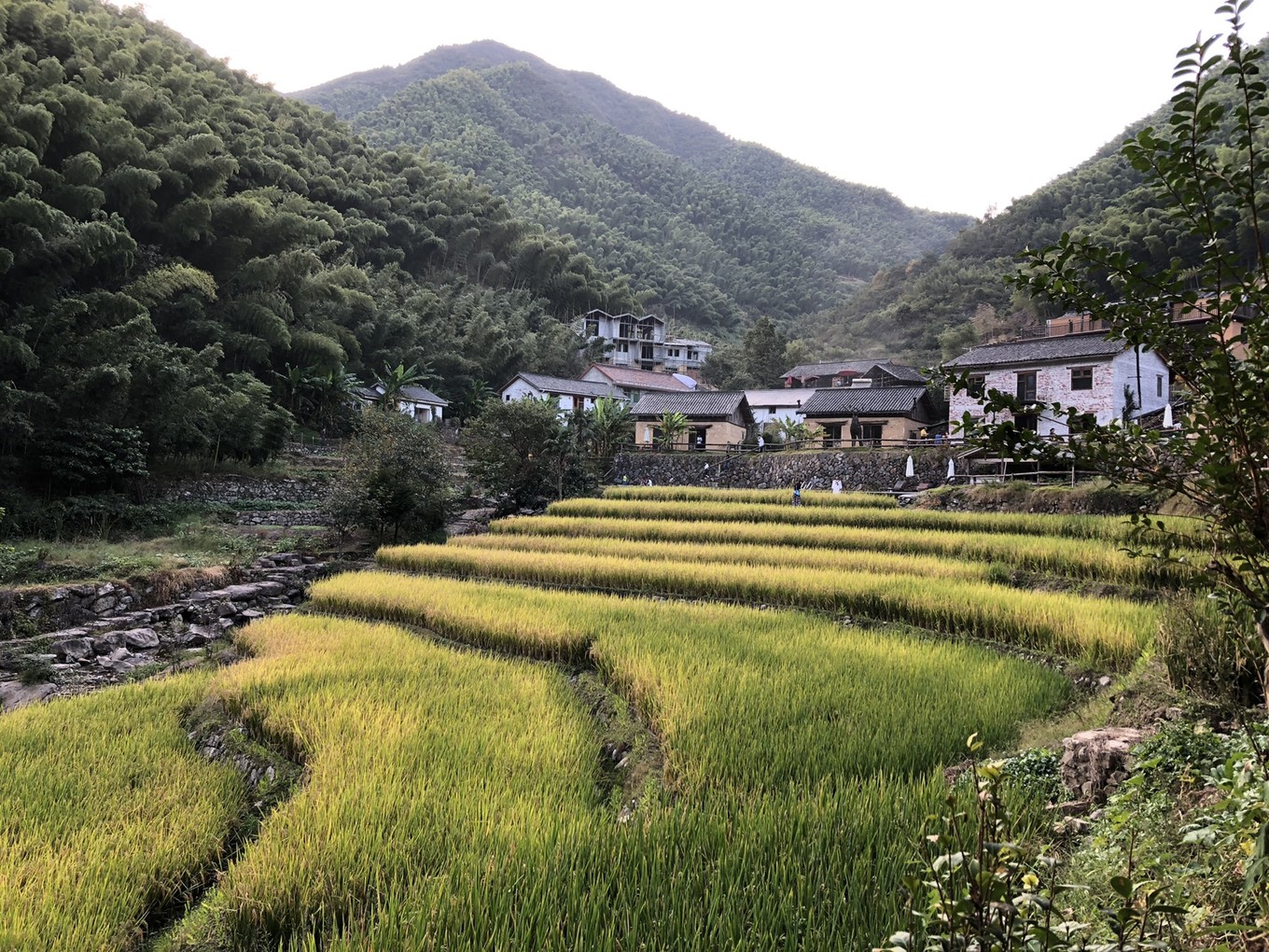 桐庐戴家山的浮生半日,城市人仿佛在这里找到了向往的时光