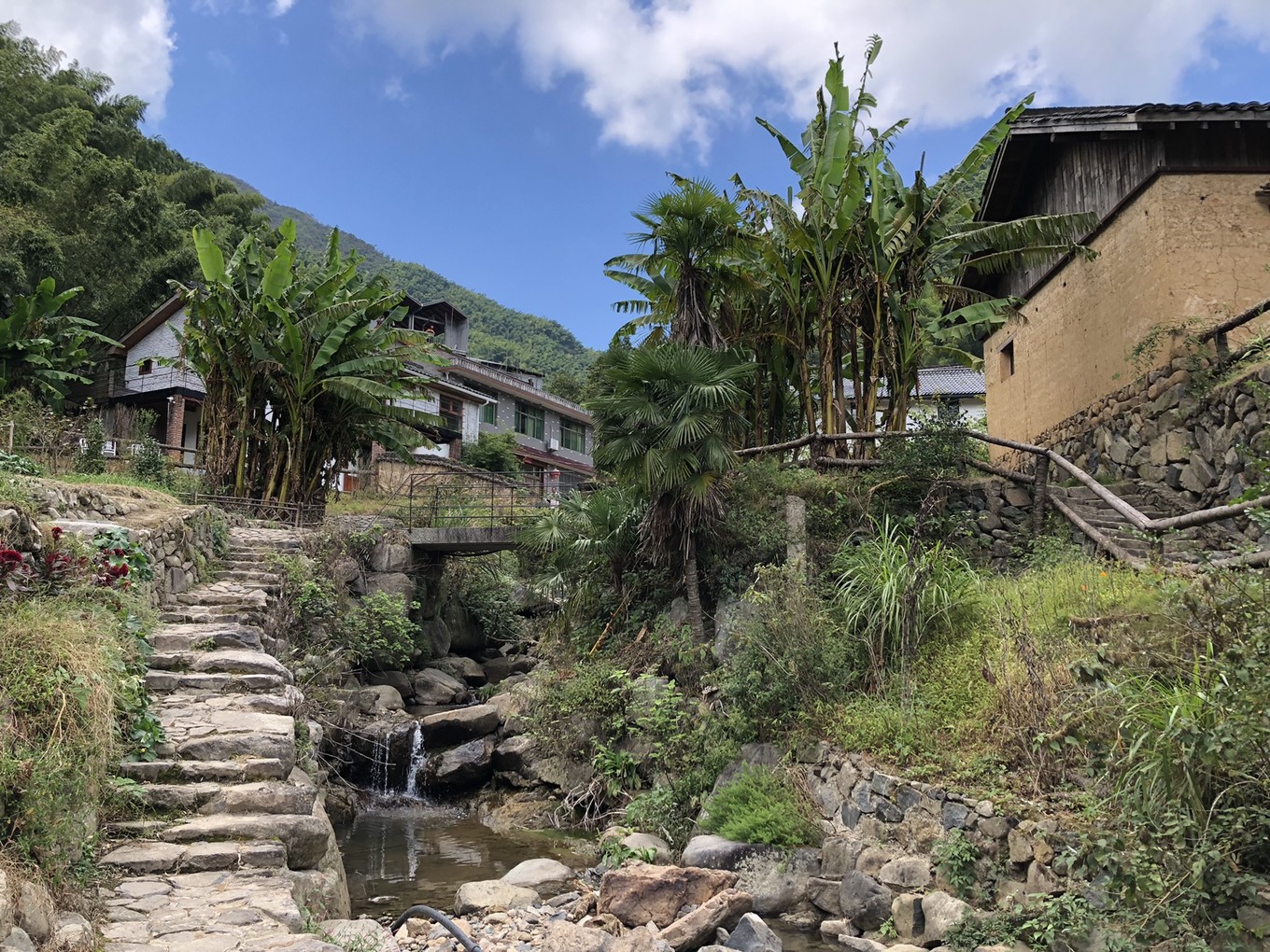 桐庐戴家山的浮生半日,城市人仿佛在这里找到了向往的时光