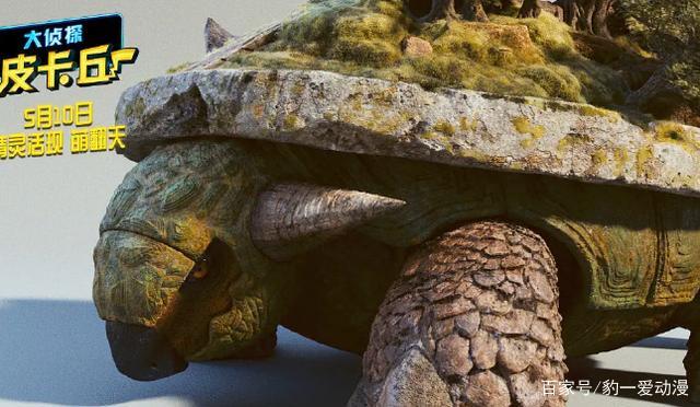 超巨型土台龟图片