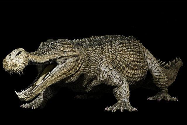 地球远古时期10大最凶猛的动物个个都是史前猛兽你都认识吗