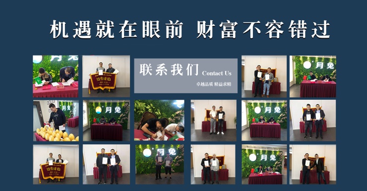 集成墙面、全屋整装十大品牌,月兔排名第几?