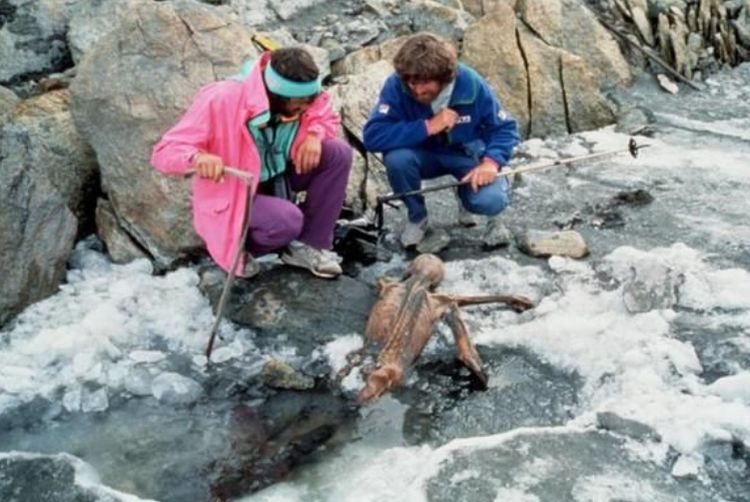 奥兹冰人 新浪网