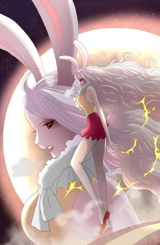 海贼王草帽团成员生命卡公布最后一个伙伴已入队不是加洛特