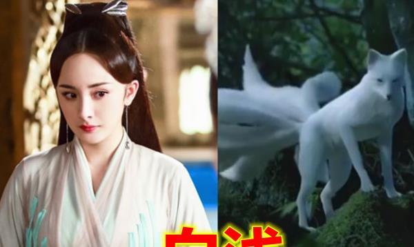 影视剧中的九尾狐白浅高贵凤九可爱却都败给了她
