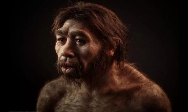 人类100万年后将进化成什么样