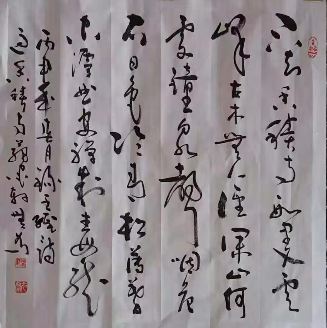 张新民书法艺术欣赏