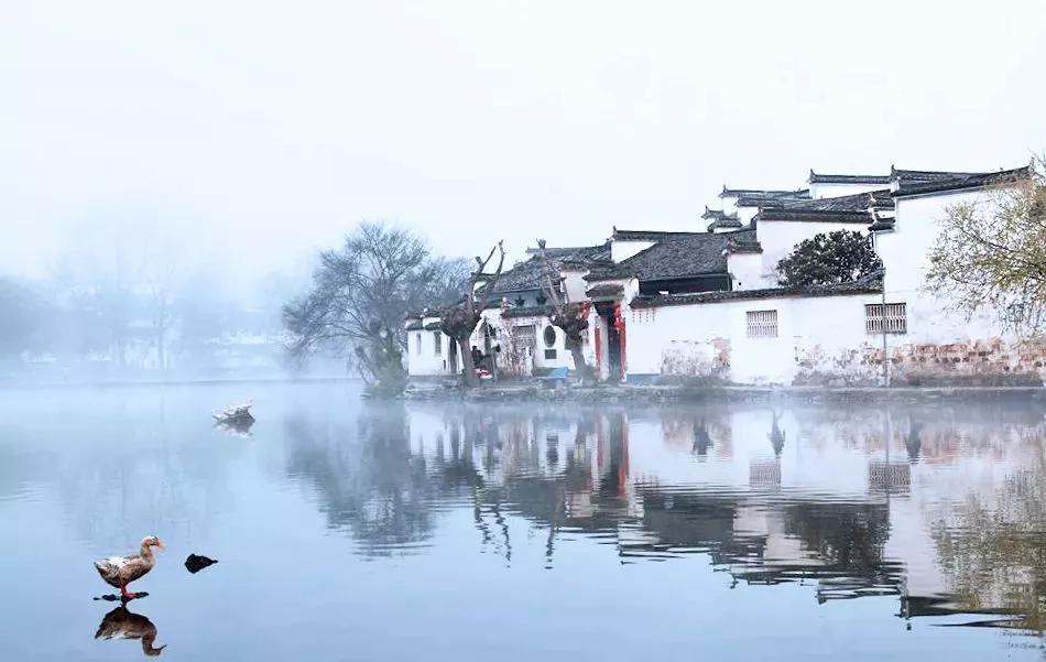 中国最美的“画里”乡村,竟藏在这里!|祠堂|徽州|宏村_新浪新闻