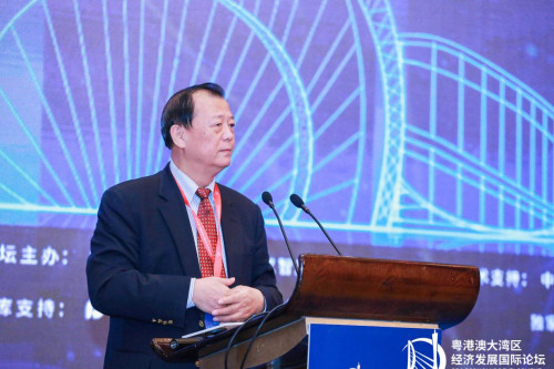 2019年第一届粤港澳大湾区经济发展国际论坛成功举办|经济发展|景晖
