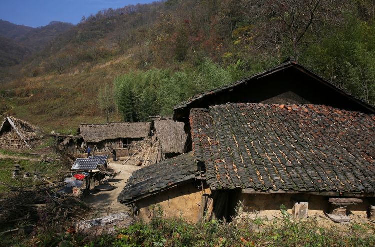 留守老汉搭伙过日子,两人隐居深山种地自食其力,每天睡到自然醒