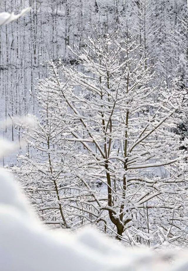 這裡的冬天簡直就是不折不扣的冰雪世界,放眼望去全是白茫茫的一片