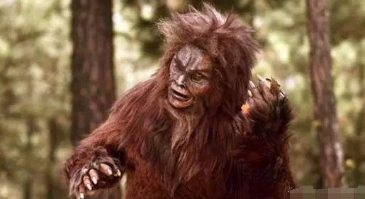 神农架真的存在红毛野人吗它很可能是远古动物如今十分珍稀