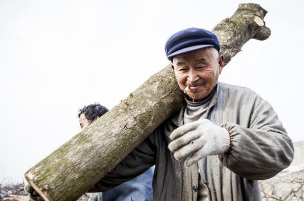 80岁留守老人健步如飞日扛木头超万斤说出原因眼眶湿了
