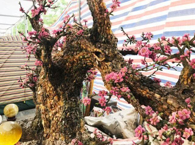 男子花8年时间用宝石制作一棵2吨重桃树,因造型逼真吸引众多买家