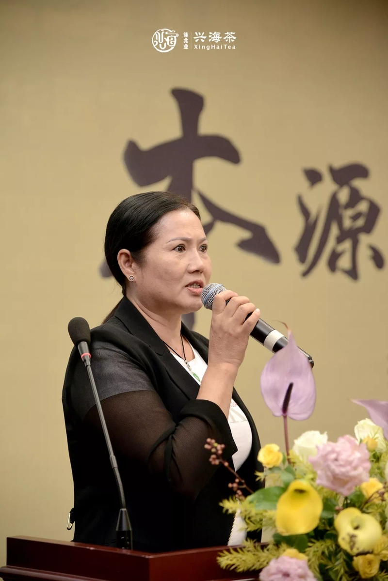 本源之味 今朝于归 | 兴海【班章乔木生态沱茶】重磅发布