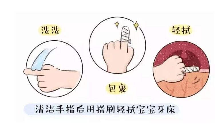 婴幼儿要如何护理口腔?妈妈们应该如何清洁宝宝牙齿?