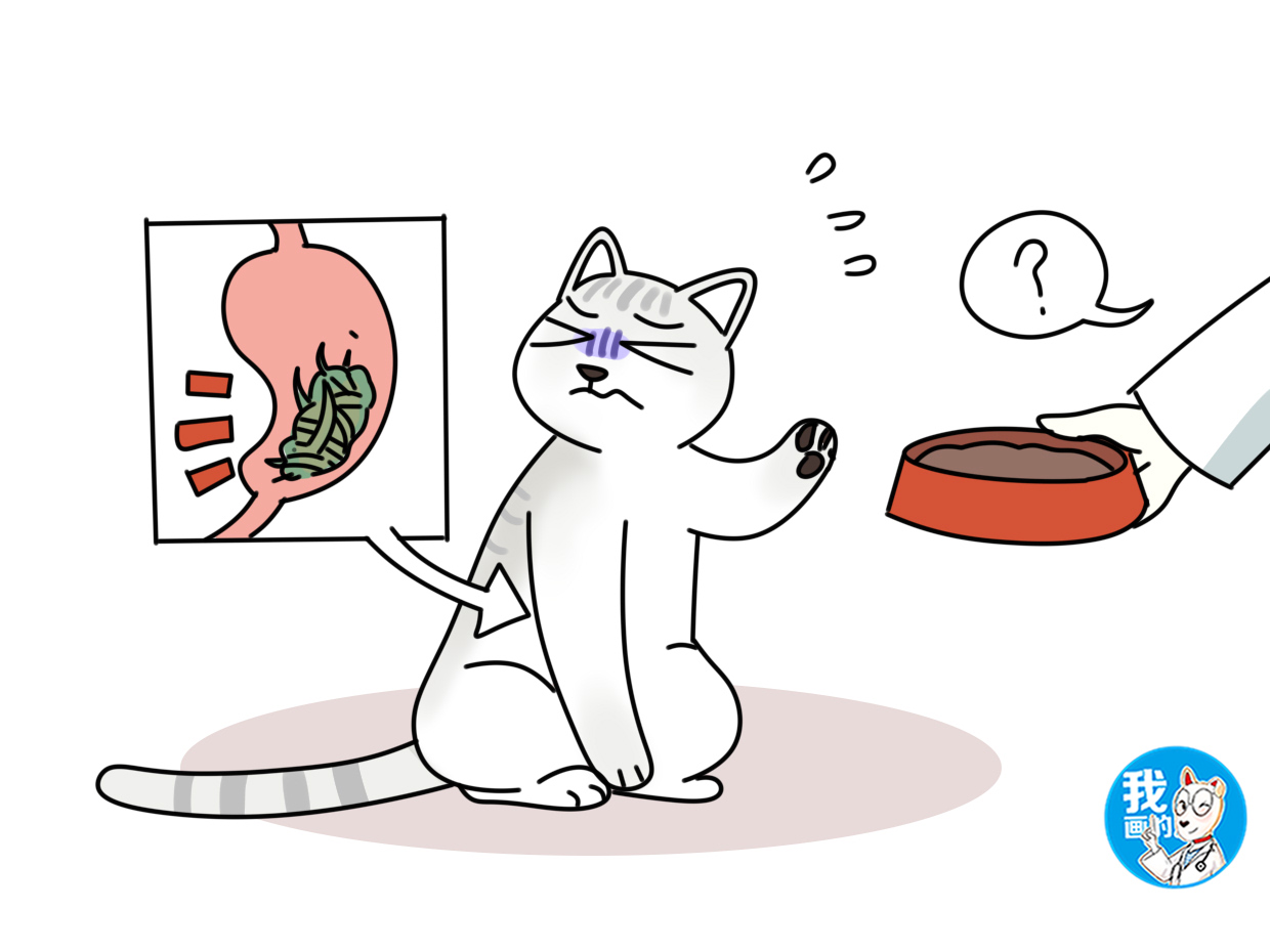 辟谣猫草可不是神仙草长期食用反而会对肠胃造成伤害