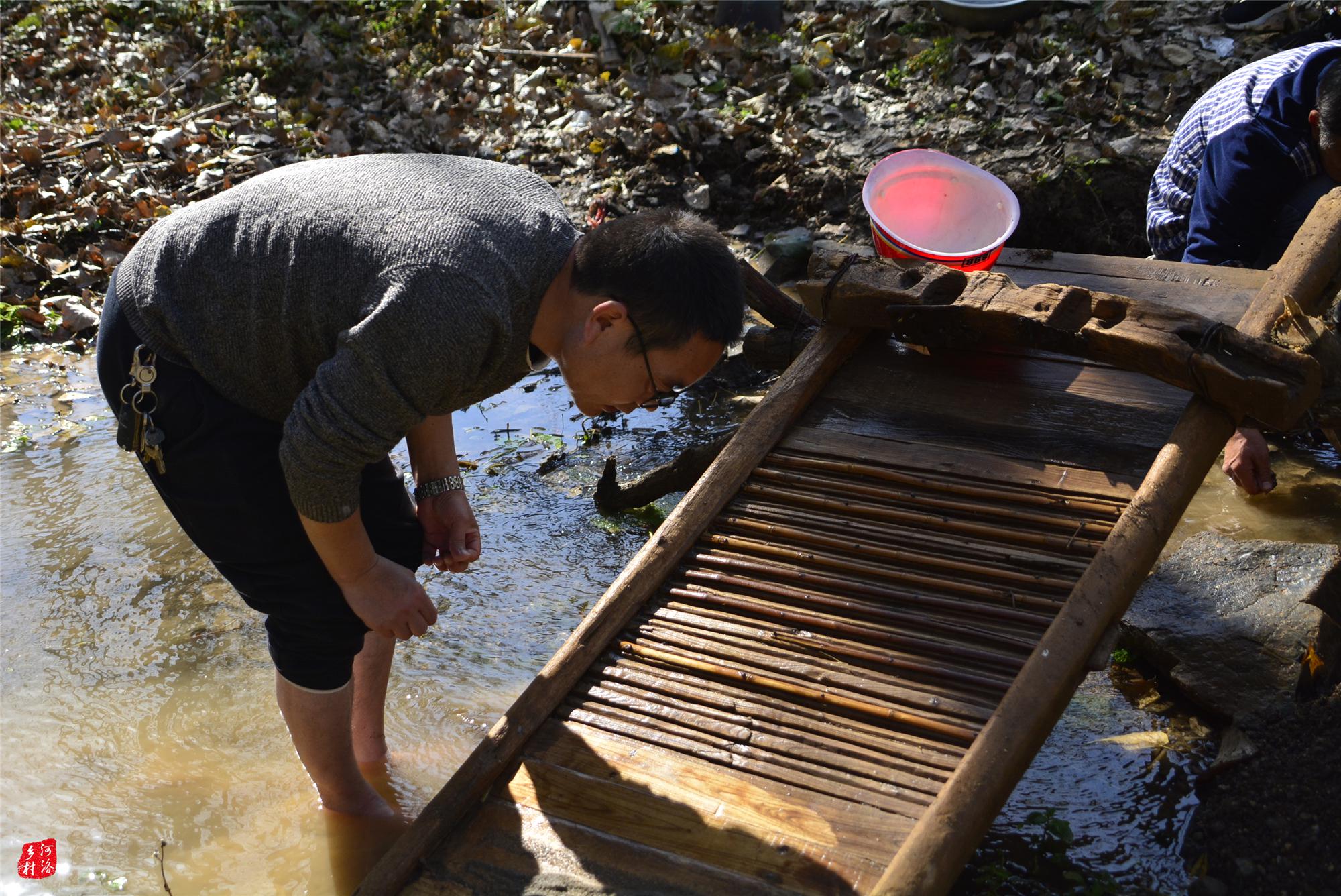 山里农民传统方法淘金,大冷天趟水洗沙子,小河沟淘出天然黄金