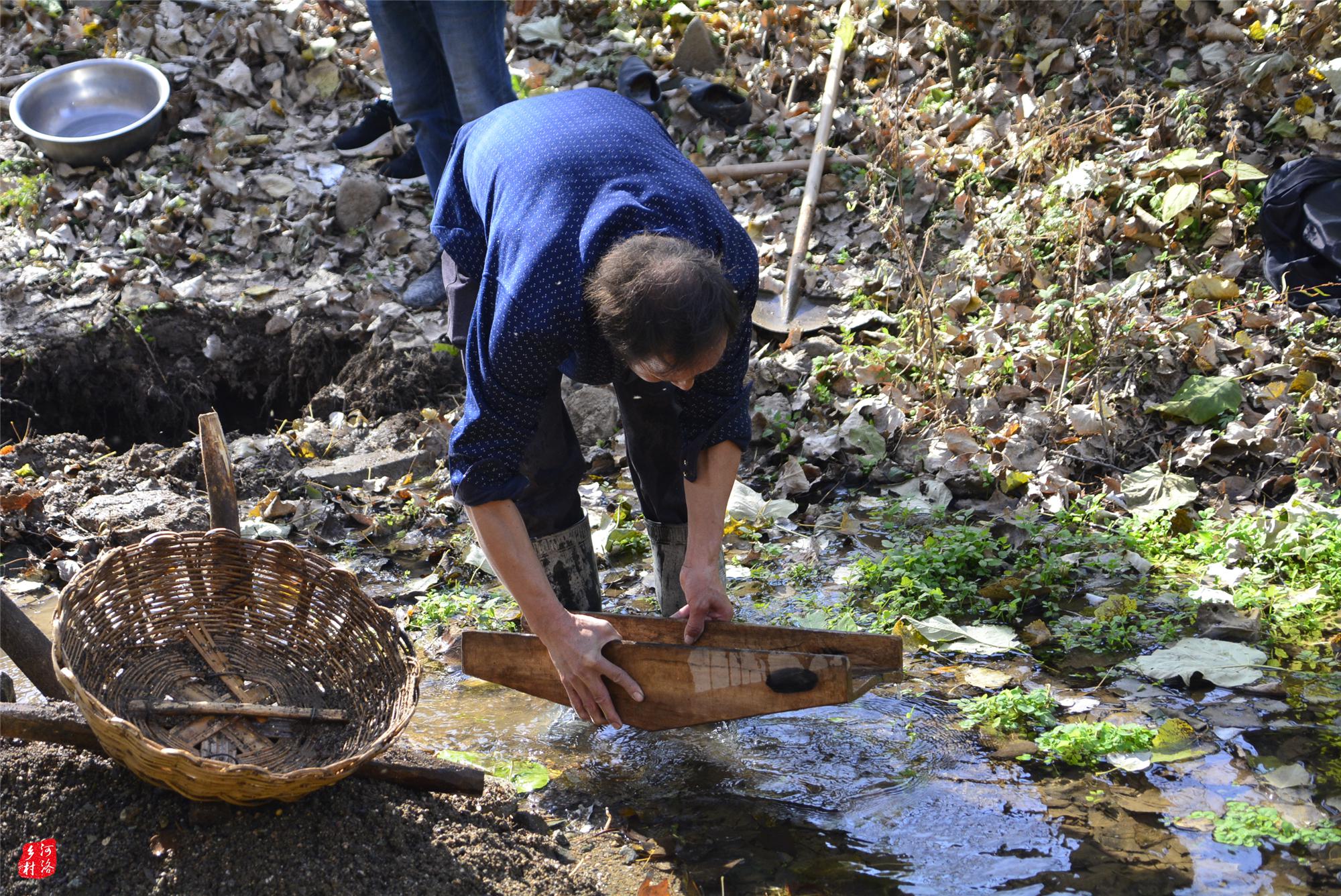山里农民传统方法淘金,大冷天趟水洗沙子,小河沟淘出天然黄金