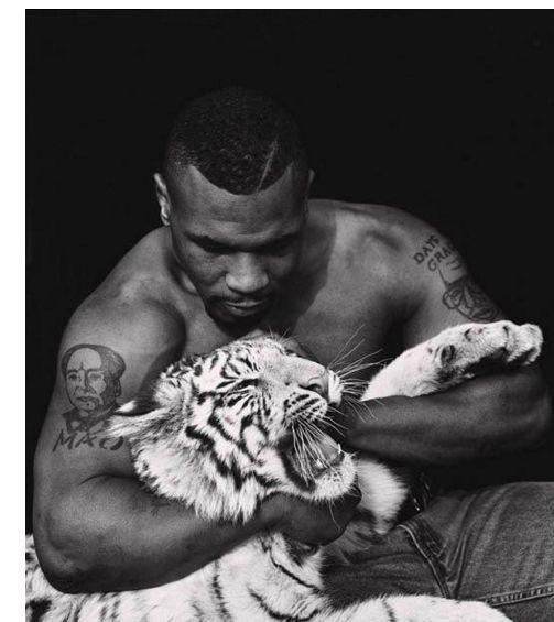 泰森为何当年咬霍利菲尔德耳朵?道出实情,表示曾咬老虎当作训练