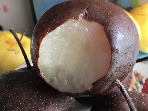 冻梨味道很独特,水当当,可以直接吸到果汁,酸甜可口,蛮好吃|当当|冻梨|苹果梨|酸甜|果汁_新浪新闻