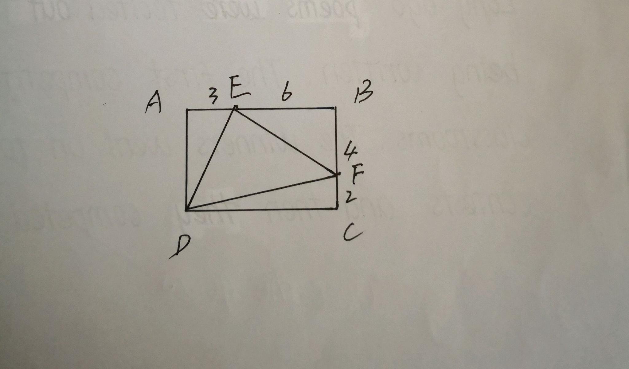 跟老师学数学 小学生三角形的面积 三角形 面积 底边 新浪网