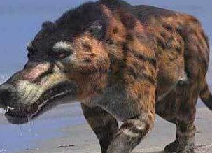 传闻神农架出现"驴头狼",它像极一种远古动物,但该物种已灭绝