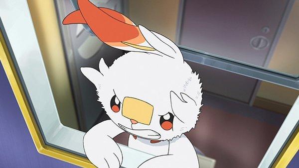 神奇宝贝剑盾:炎兔儿尾随小豪去伽勒尔,小智收服巨大化卡比兽?