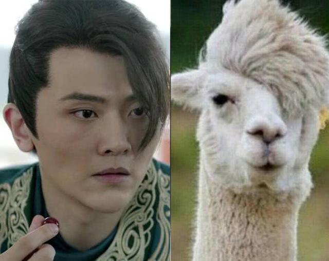 庆余年二皇子羊驼刘海火出圈为演出导致左耳失聪