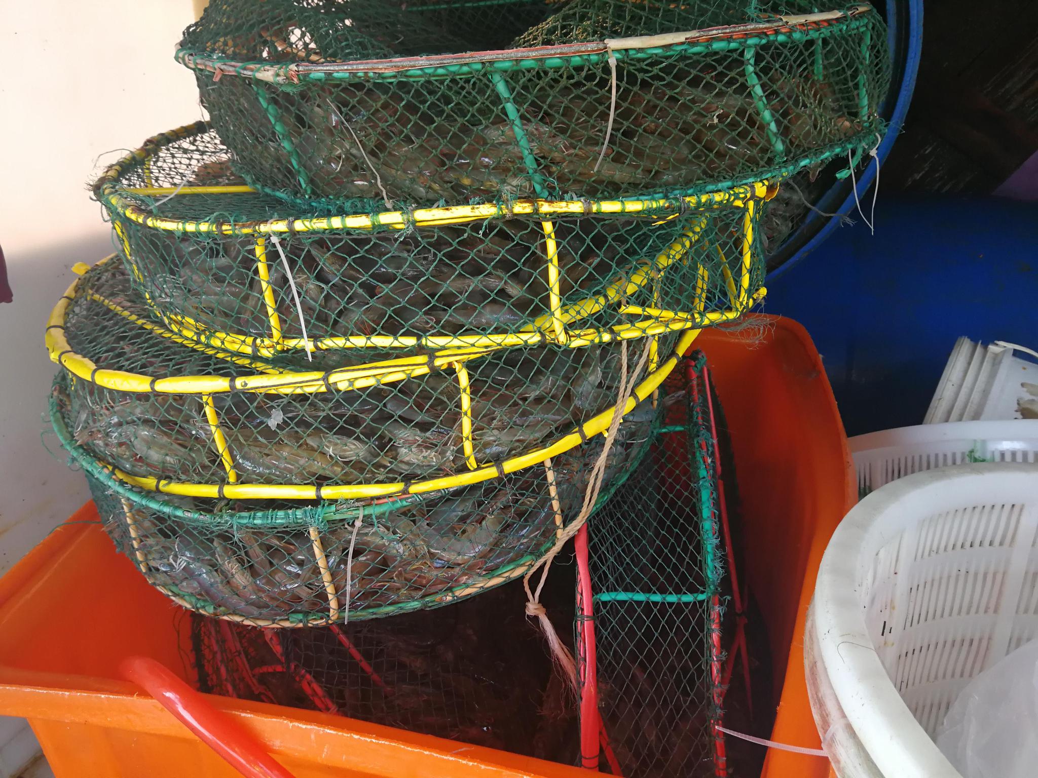 前轮换到后轮终究还是爆了 面包车翻车 害惨了一车活虾