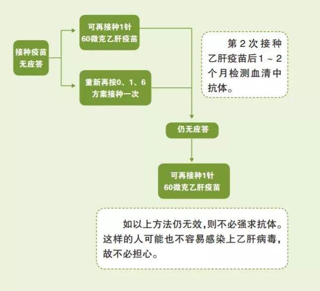 乙肝疫苗注射方法图解图片