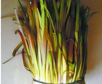 公认"最贵"的中国蔬菜,五色韭菜上榜,图4被称为"菜心至尊"