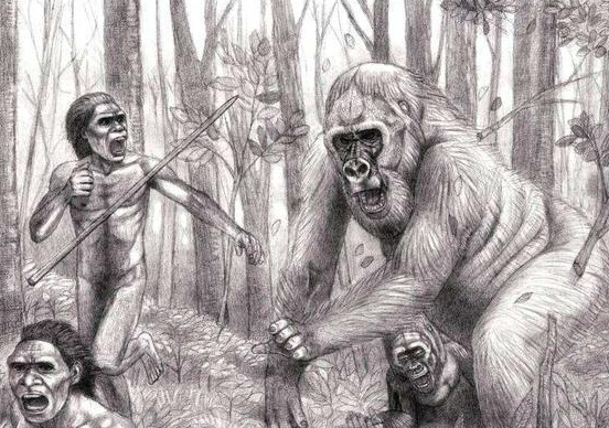 200万年前的"巨猿"化石被找到,体型是人类3倍,战斗力爆表
