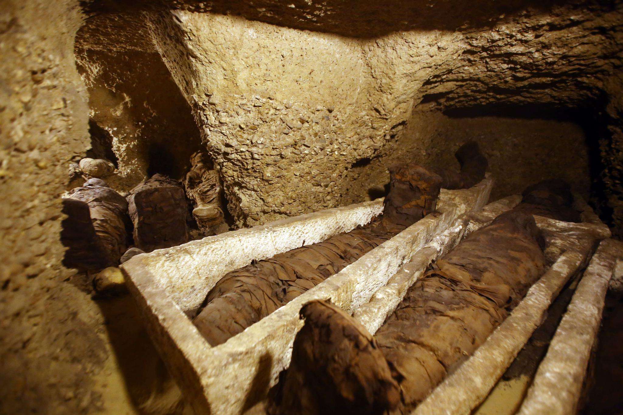 金字塔中发现狮子木乃伊制造于2600年前它的作用是什么