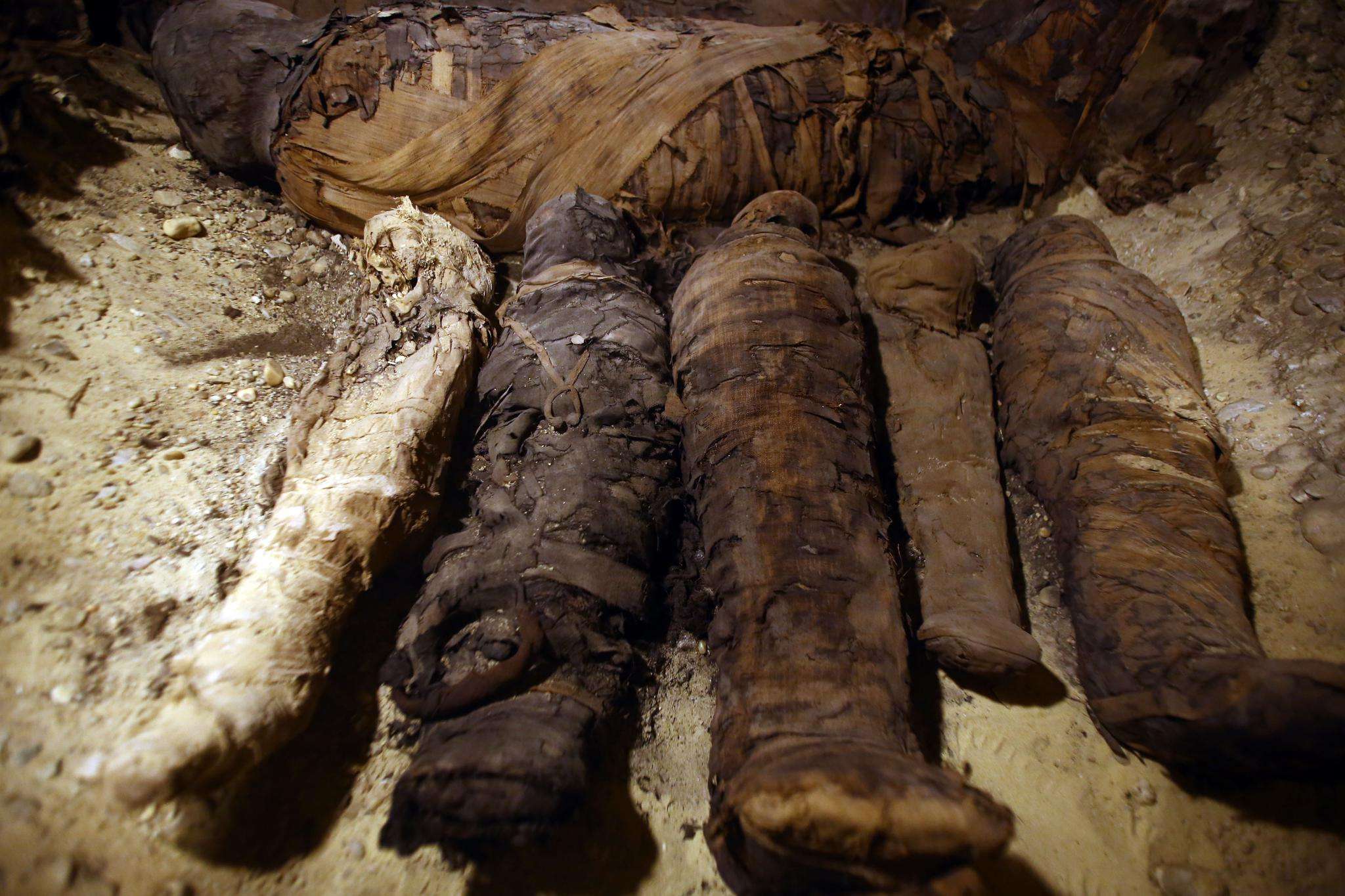 金字塔中发现狮子木乃伊制造于2600年前它的作用是什么