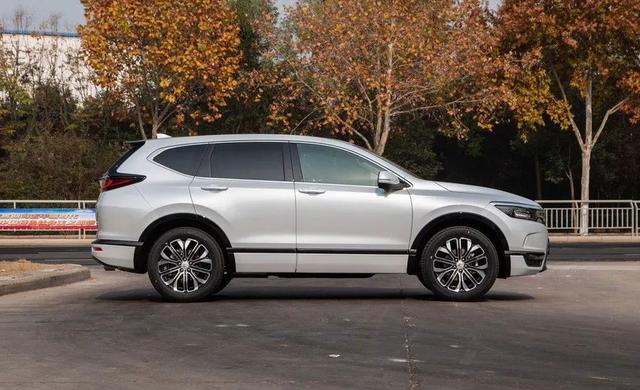 皓影对比锐际，两者凭何实力成为市场新秀？